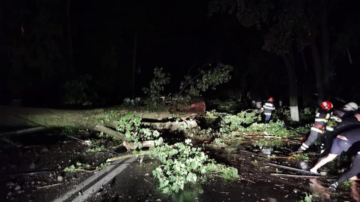 furtuna-teleorman_33315200