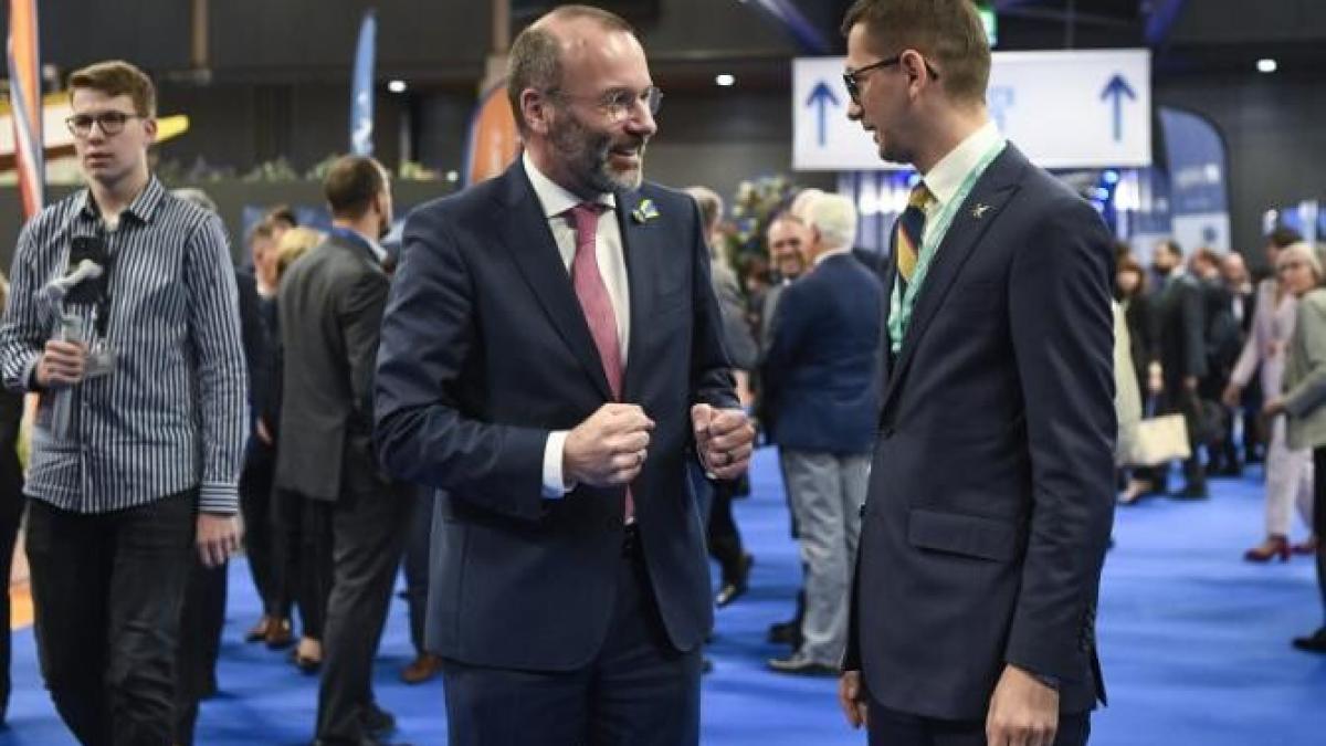 manfred_weber_ppe_presedinte_ager_90109000