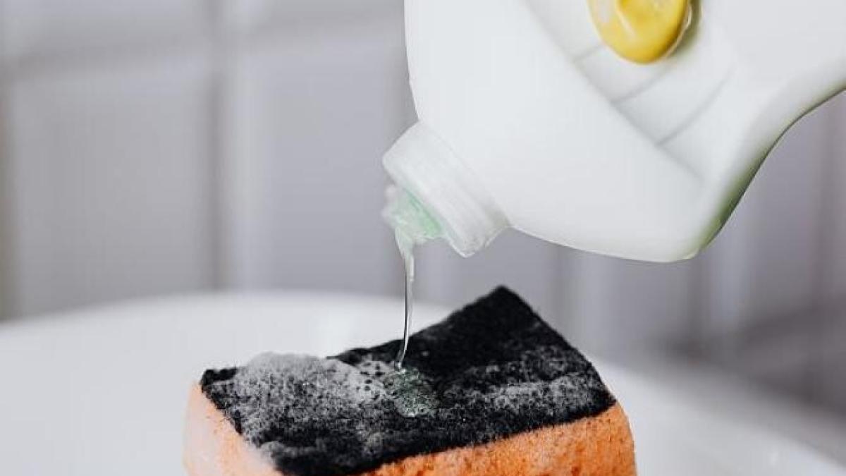 cada-este-ingalbenita-si-patata--ai-nevoie-de-doua-produse-din-camara---simplu--ieftin-si-rapid_04133300