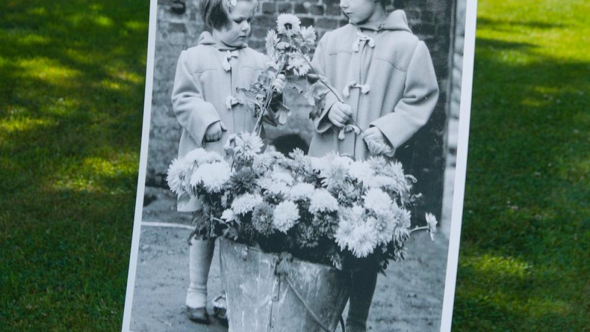 familia_regala_46623000