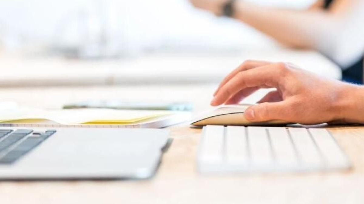 firme_romanesti_ong_foto_pexels_69017000