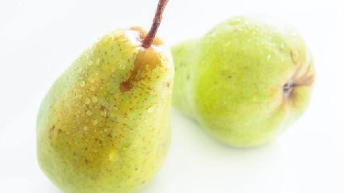 para_foto_pexels_09653400