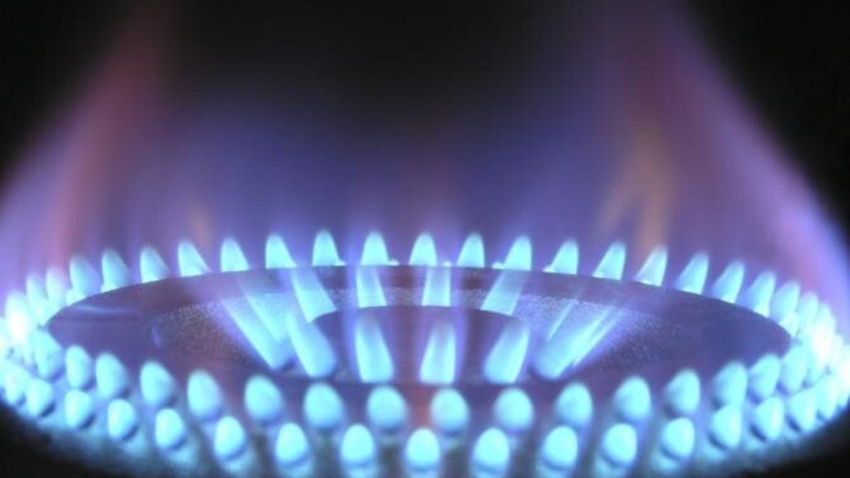 germania-pierde-5-mld--euro-anual-pe-seama-sanctiunilor-impuse-de-rusia_49351500