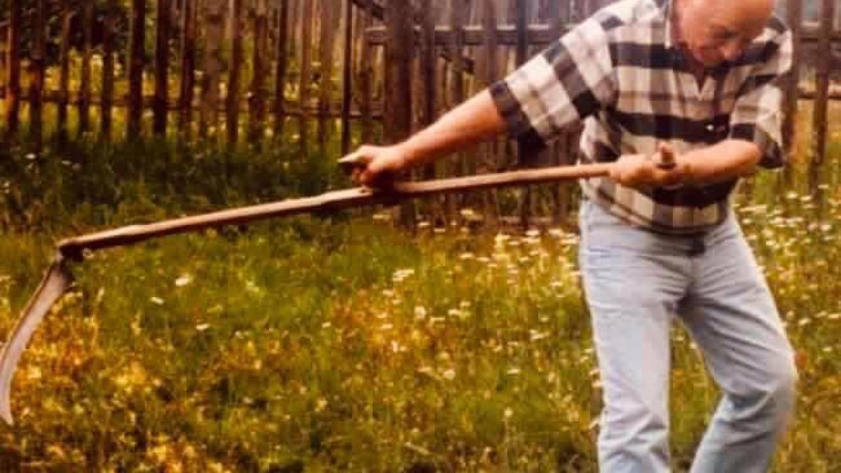 286032923_1634715840242649_8483841425826067107_n_00773600