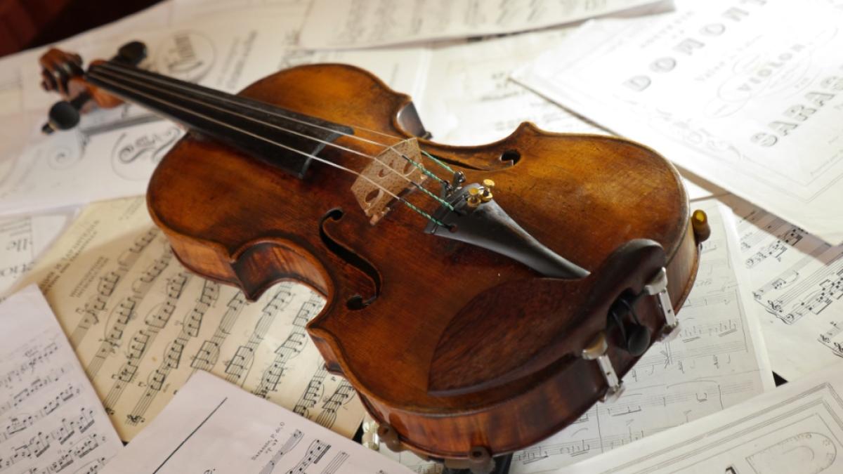 vioara_guarneri_del_gesu____catedrala_14391200