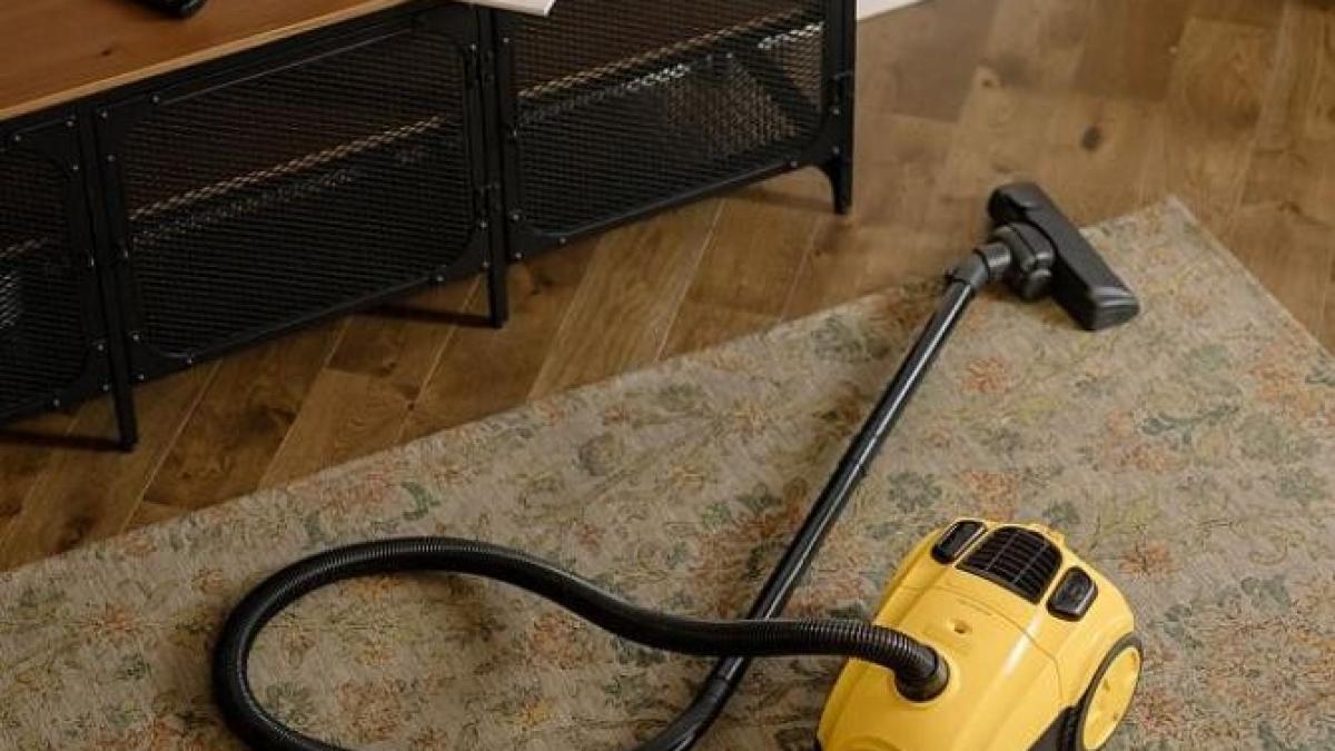 aspiratorul-miroase-urat--foloseste-cinci-ingrediente-naturale-si-vei-scapa-de-aceasta-problema_94806800