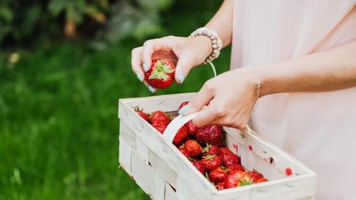 cea-mai-savuroasa-tarta-a-verii---ai-nevoie-de-cativa-pumni-de-capsune-pentru-acest-deliciu-culinarprc-c2prc-a0-prc-c2prc-a0_49902900