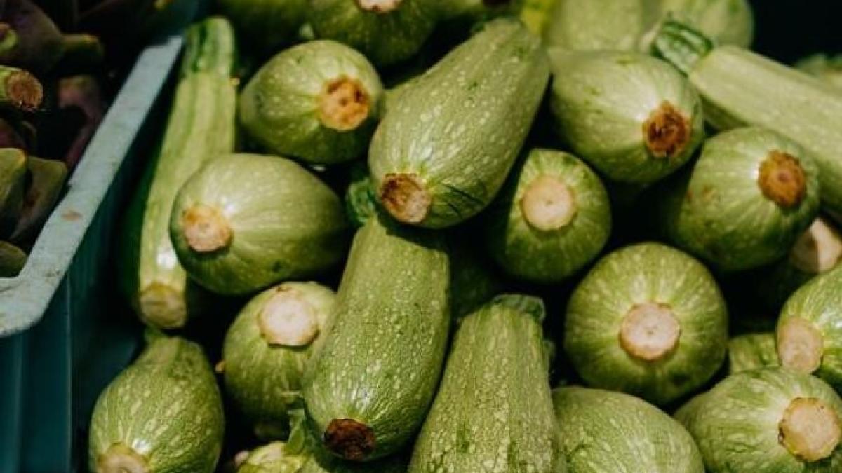 clatite-din-dovlecei--gata-in-5-minute--ce-sa-adaugi-in-aluat-ca-sa-fie-super-moi-si-delicioase_25592100