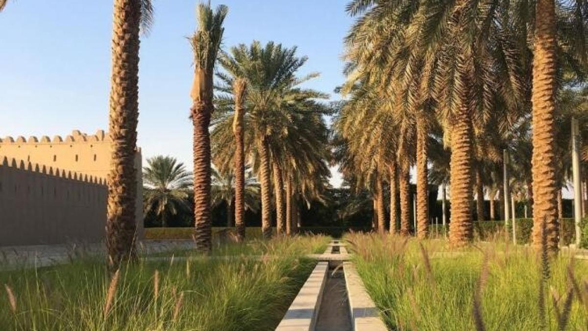 al-ain-oasis-desert-abu-dhabi_05203800