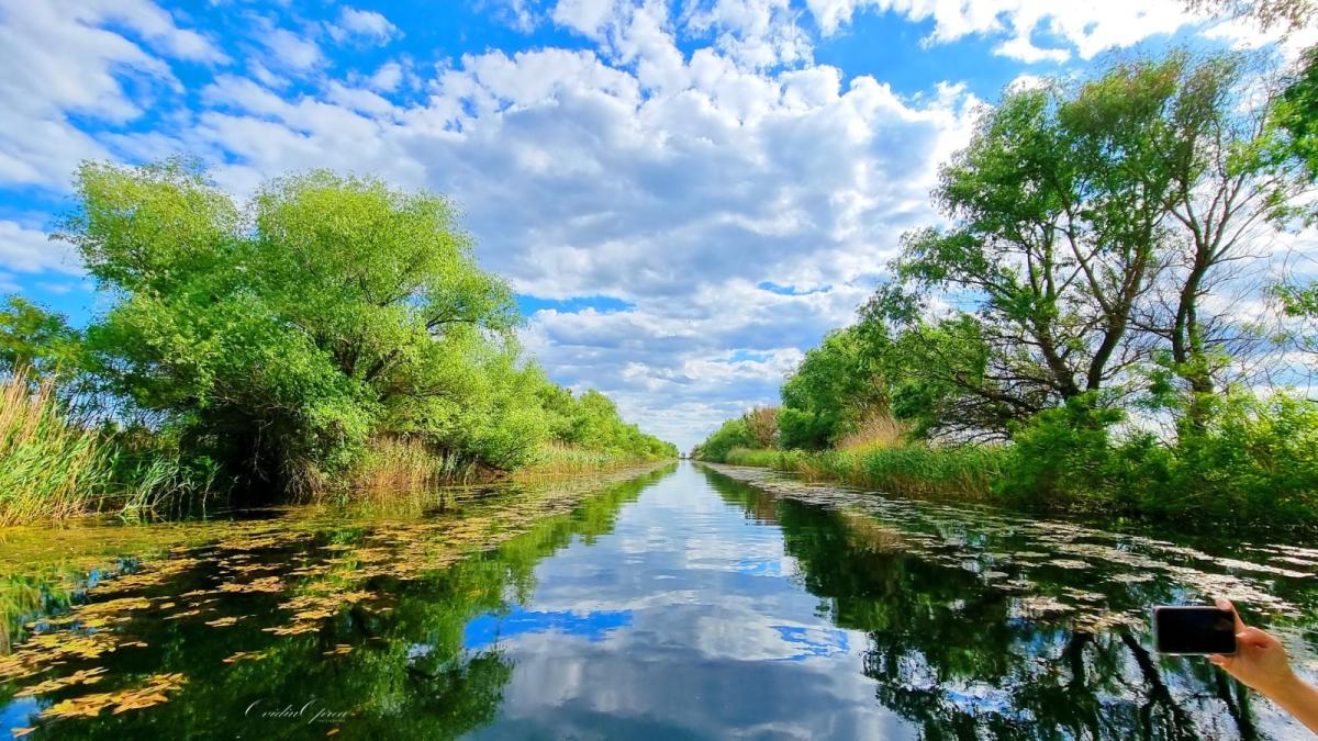 2ce311ea-7b51-41d8-9cda-d46c24379e4e_36627400