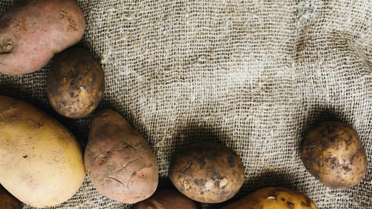 cartoful-romanesc-e-cumparat-de-straini-si-vandut-in-romania-adrian-chesnoiu_62733800