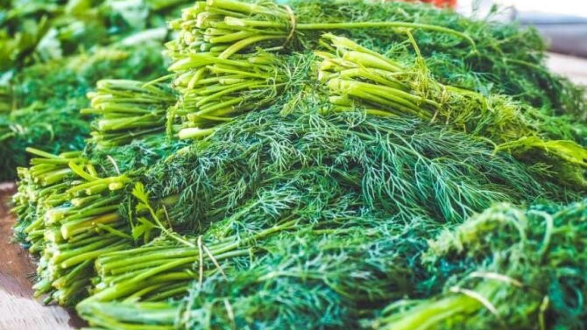 pastrati-verdeata-in-frigider-mai-multe-saptamani---cu-aceste-trucuri-va-fi-verde-si-proaspata_29001600