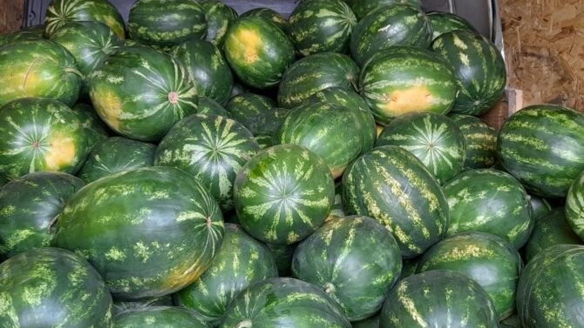 lubenite-dabuleni_15427800