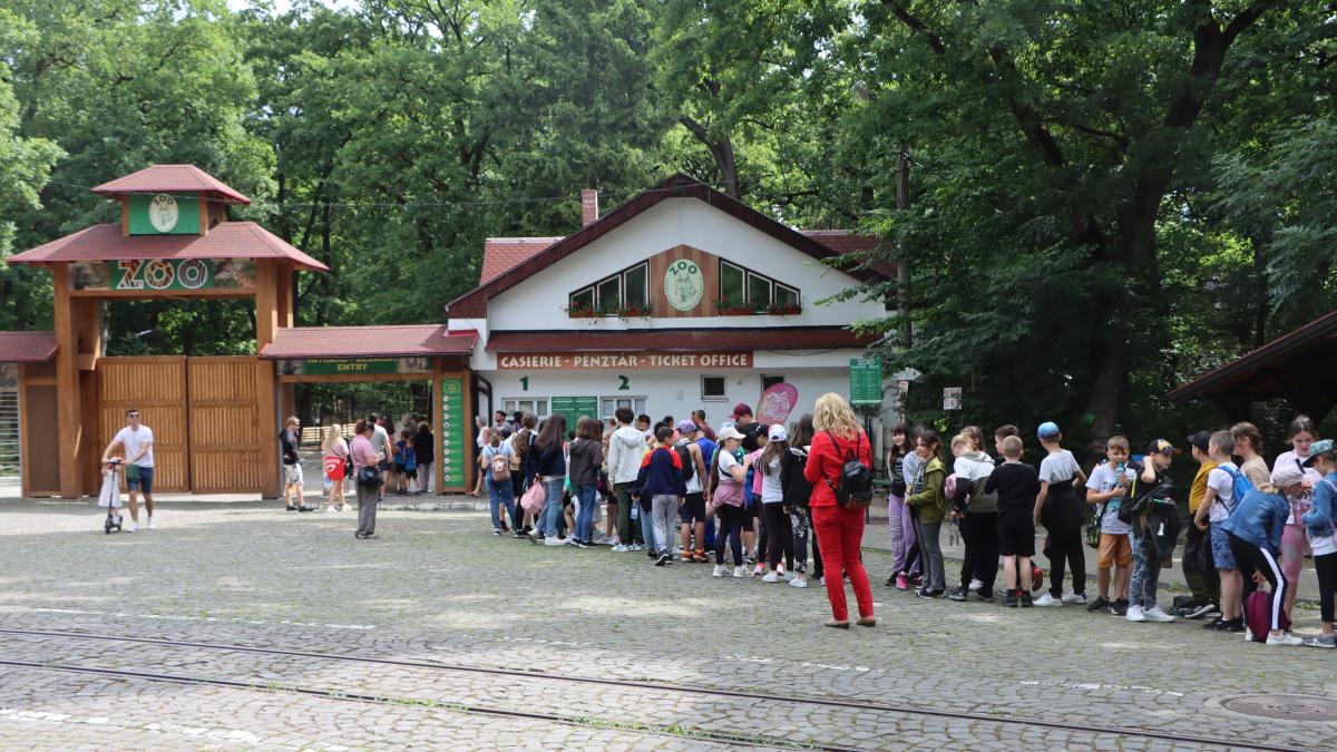 zoo-targu-mures_64553300