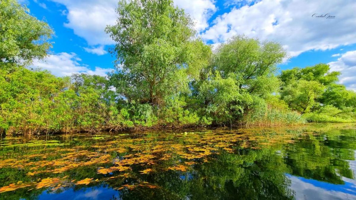 delta-dunarii-rusalii-5_10551500