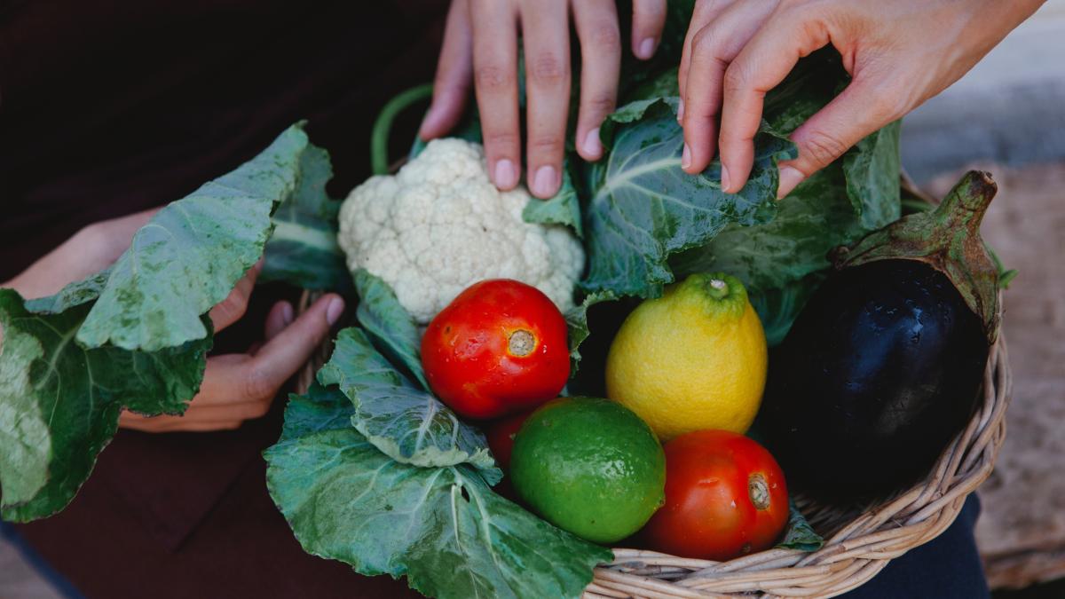 consumul-de-legume--beneficii-majore-pentru-sanatate--bilic-e-mai-usor-si-mai-gustos-decat-credeti_09781400