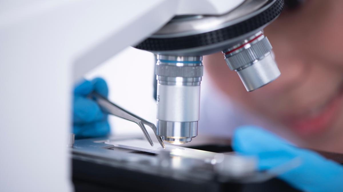 eurodeputatii-au-fost-supusi-la-testul-parului--si-nu-e-vorba-de-droguri_88406500