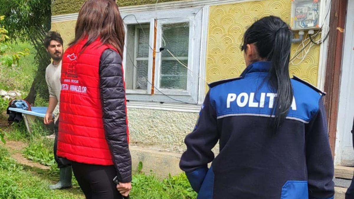 caz-zguduitor-in-suceava-o-femeie-sta-inchisa-intr-un-pod-de-aproape-3-ani--fecale-si-urina-adunate--geamuri-batute-in-cuie--autoritatile-locale-stiu-foto_99144100