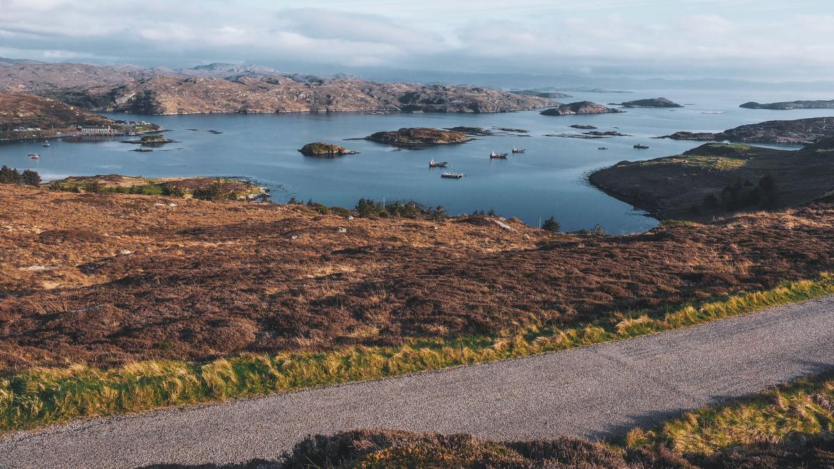 hotarare-de-guvern-pentru-conservarea-naturii-si-a-biodiversitatii_09522100