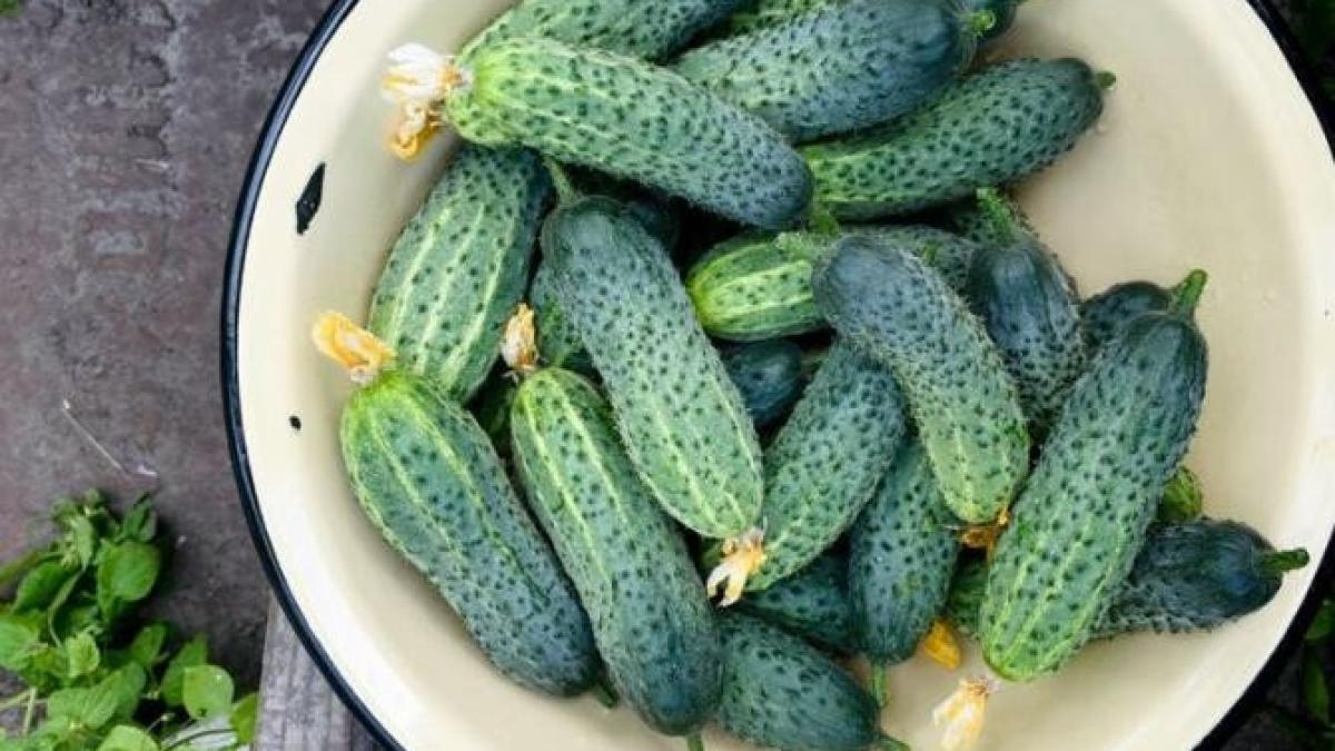 masca-de-fata-cu-castraveti---un-amestec-de-ingrediente-purificatoare--care-te-scapa-de-cosuri-si-puncte-negre_47147000