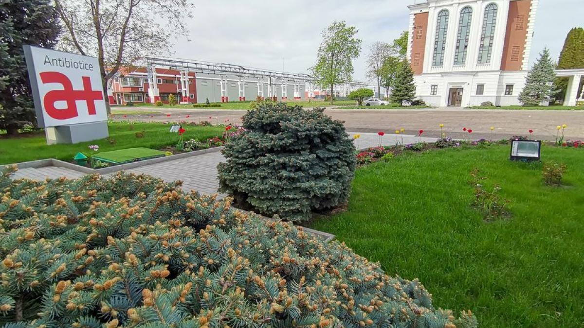 campanie-frauduloasa-in-numele-companiei-antibiotice-iasi--ai-primit-si-tu-acest-link-ai-fost-pacalit_91527400