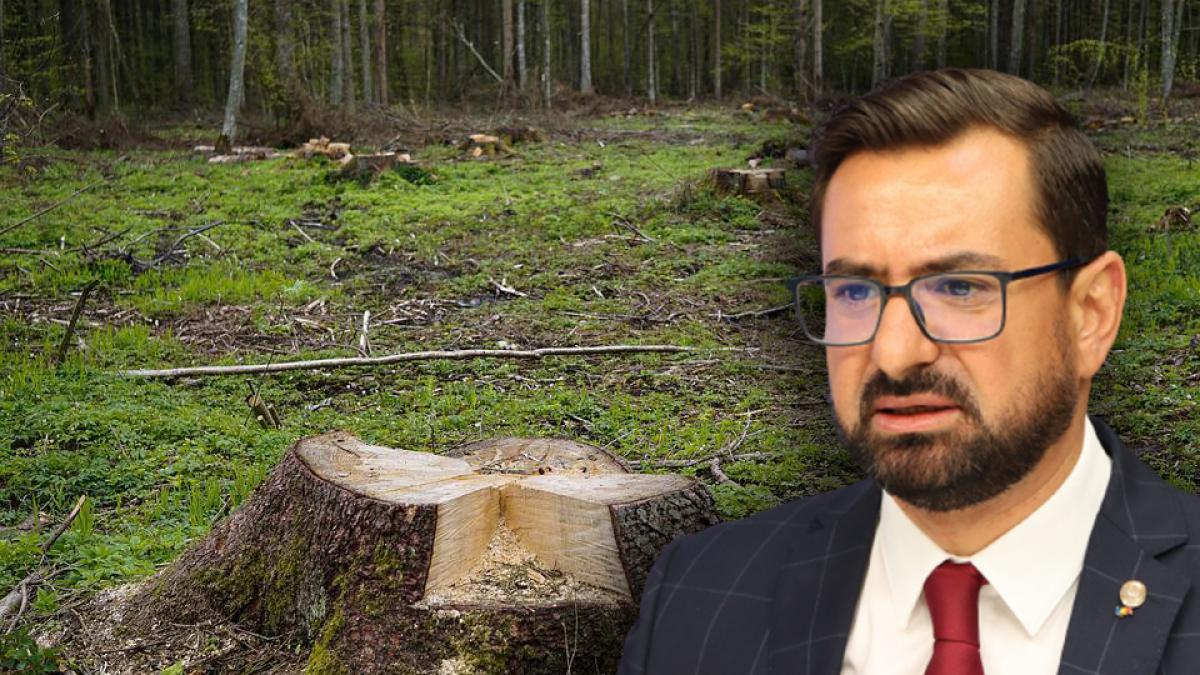 chesnoiu-terenuri-defrisate_21981500