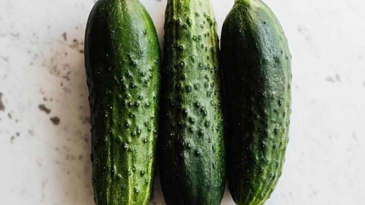 castraveti-murati-in-punga-de-plastic---pot-fi-consumati-a-doua-zi--sunt-crocanti-si-deliciosi_23703600