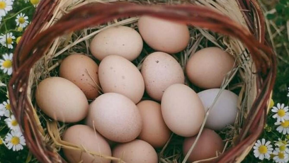 ce-se-intampla-daca-ingropi-un-ou-intr-un-ghiveci---un-truc-ciudat--care-trebuie-incercat-macar-o-data_30602400