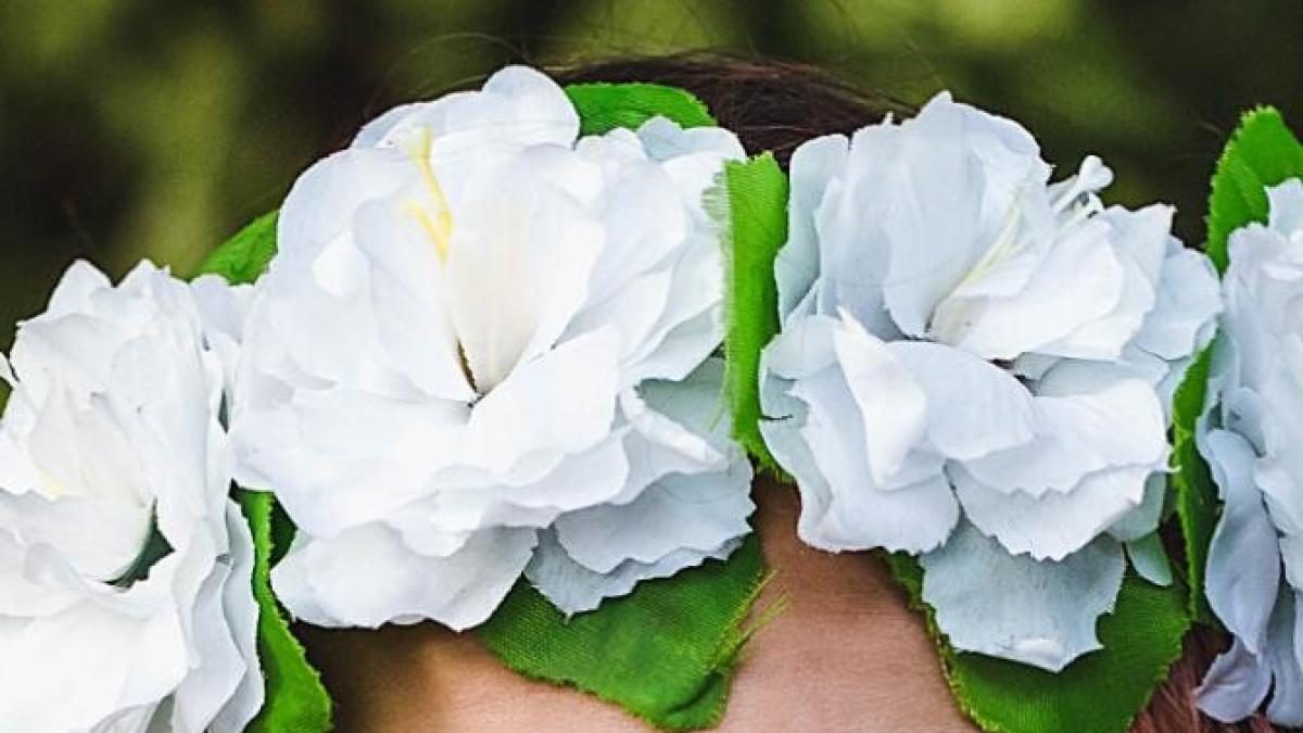 bulai-si-valcu-o-dau-in-minte-copiilor-la-nod-in-papura--discutie-despre-coronite-si-disney_71049800