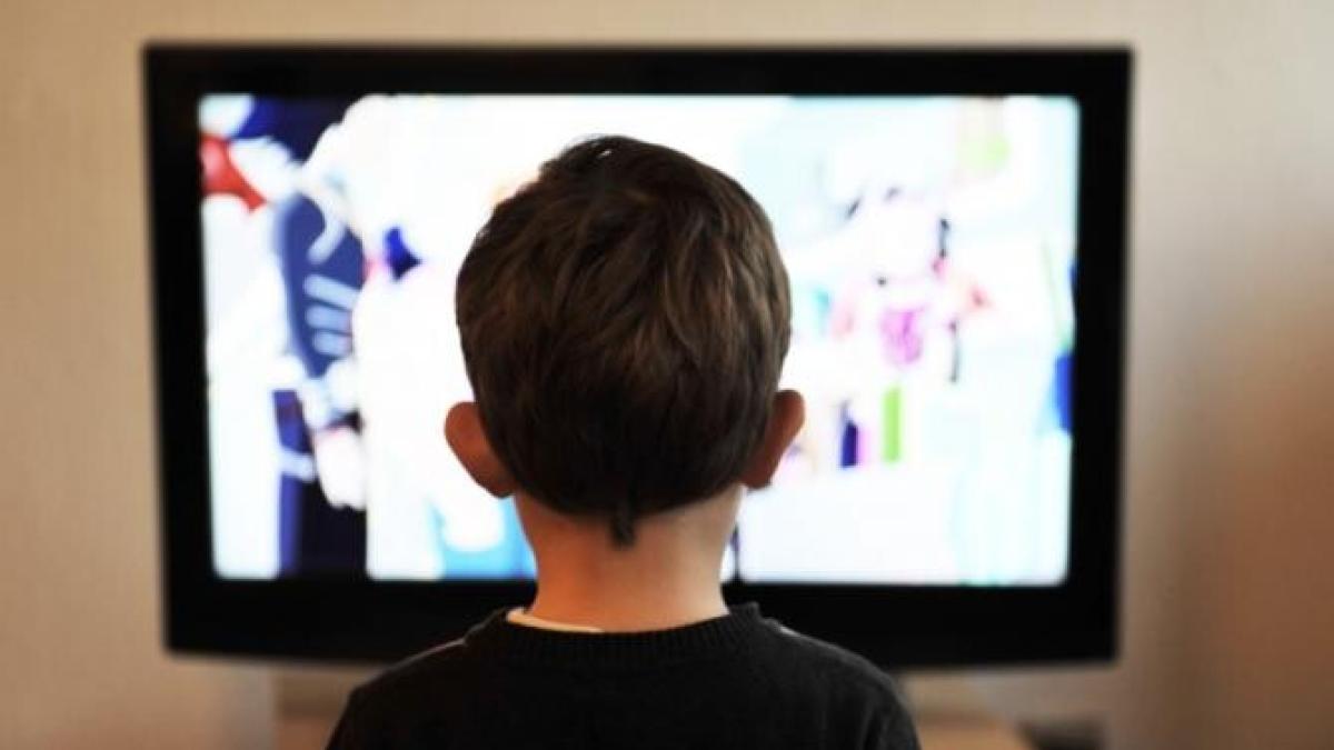 prc-e2prc-80prc-9epentru-o-viata-sanatoasa--evitati-excesul-de---prc-e2prc-80prc-9d--bulai-sunt-niste-glume--promovarea-valorilor-nu-se-face-la-televizor_95274900