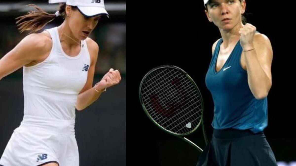 simona-sorana_29875300