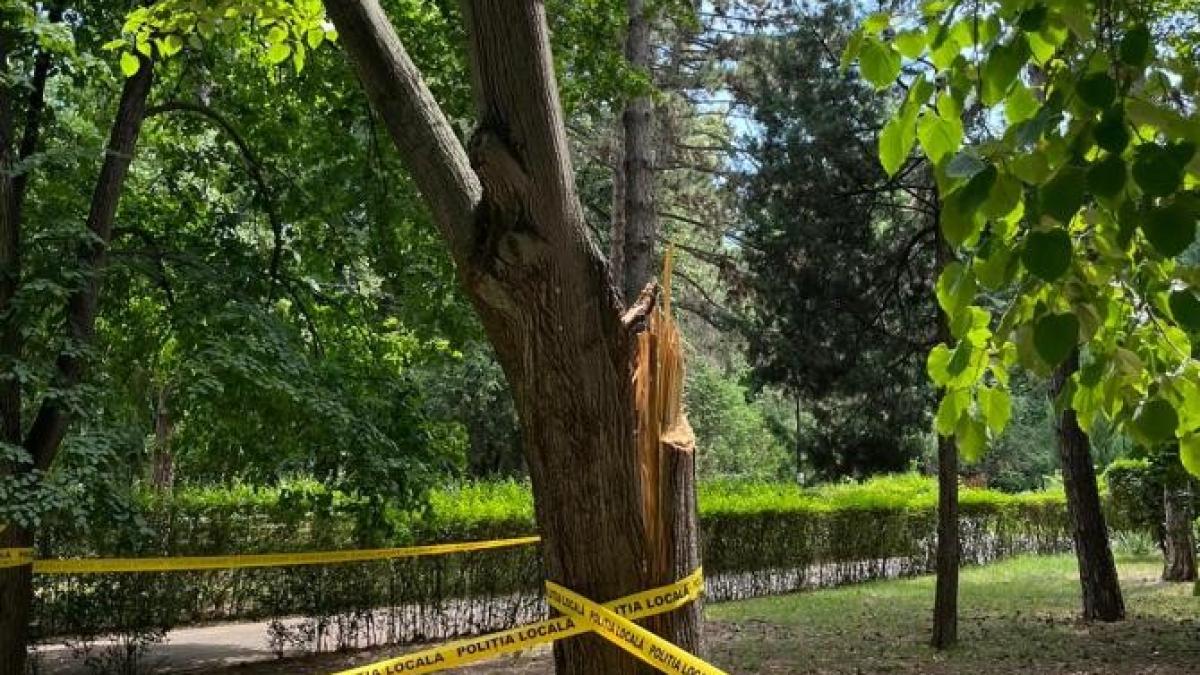 parc-herastrau-dcnews-4_68965000