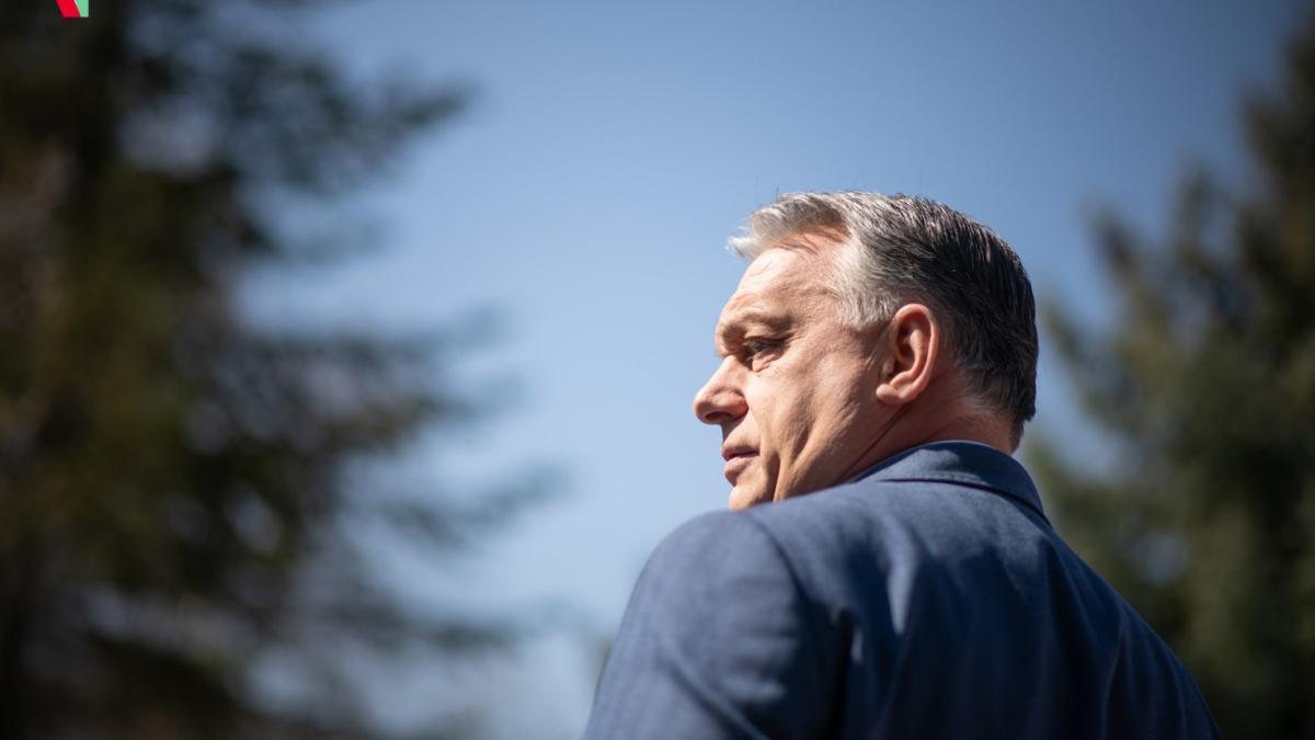 viktor-orban-tari-candidat-bosnia-si-georgia_98641300