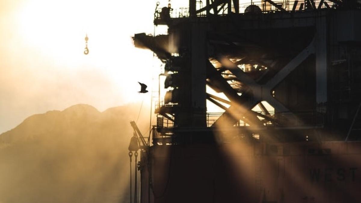 conducta-pexels_11814900