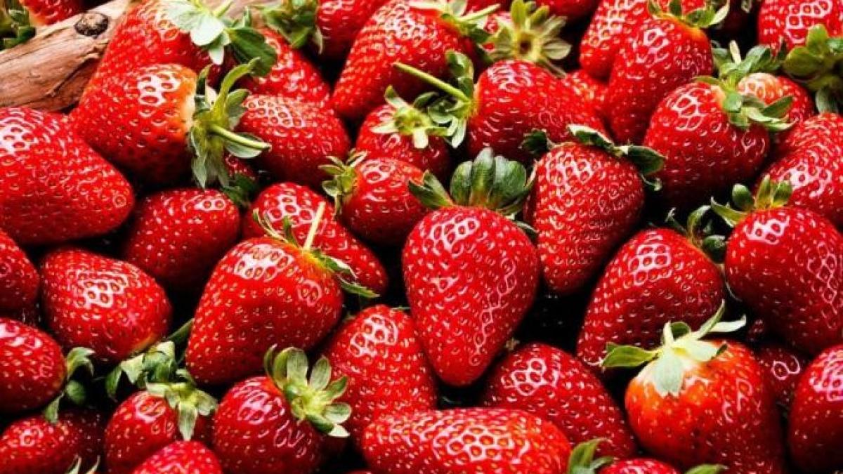 cu-acest-truc-ingenios-vei-pastra-capsunele-mai-mult-timp-la-frigider---ai-nevoie-de-un-uscator-de-par_89537200