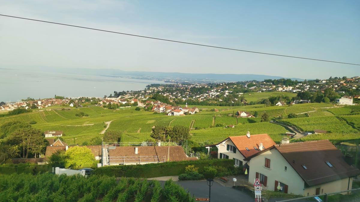 elvetia_1_dcnews_30485400