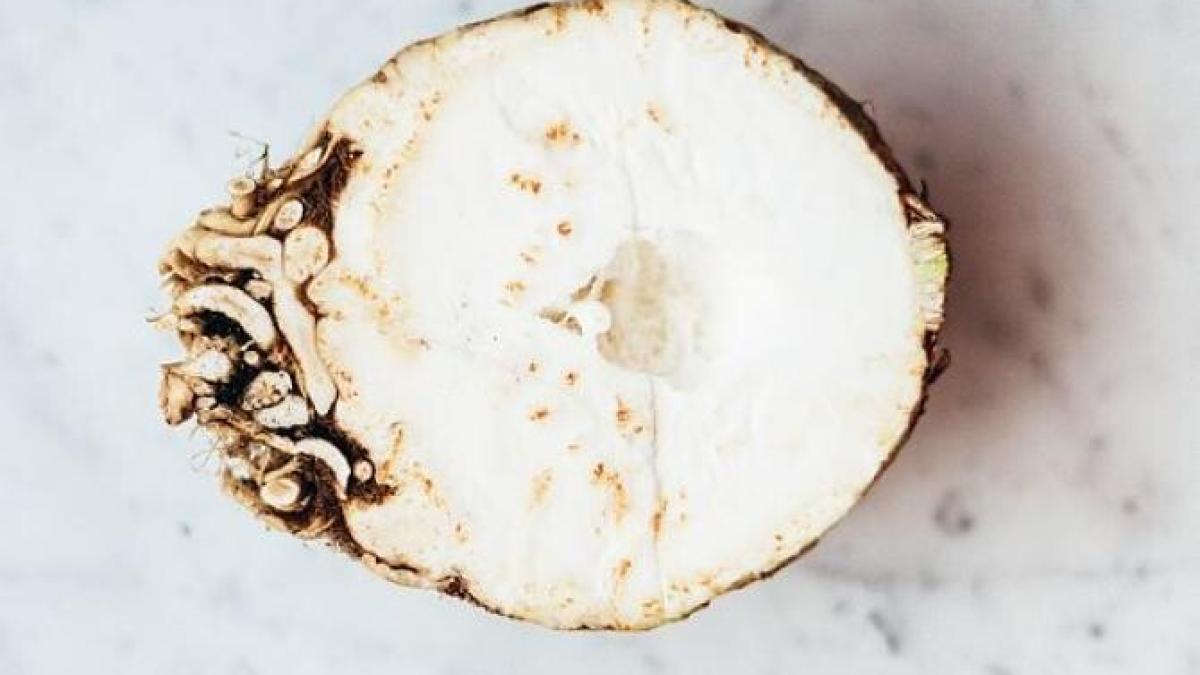 telina-gratinata-la-cuptor---o-reteta-usoara-si-gustoasa--care-trebuie-incercata_43464100