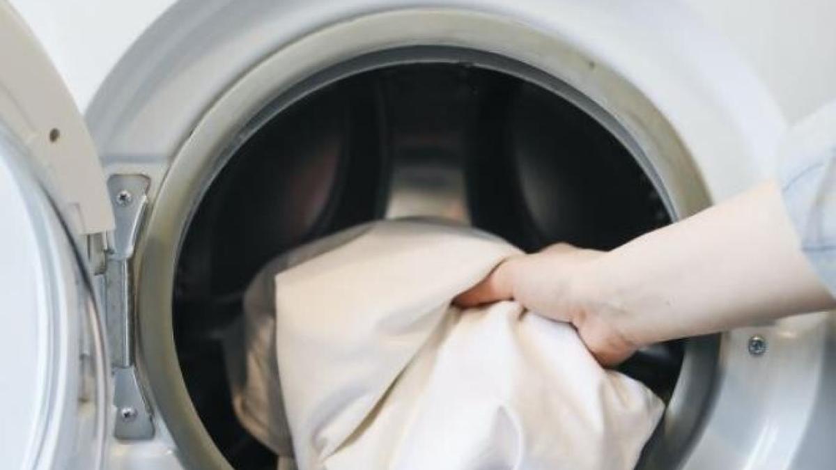 haine-care-nu-trebuie-puse-niciodata-in-masina-de-spalat---se-vor-deteriora-si-vor-strica-si-aparatul-electrocasnic_92306600