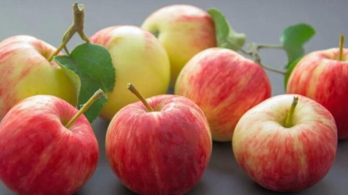 mere-la-cuptor--umplute-cu-bezea--un-desert-de-cinci-stele--dezvaluit-de-cofetarii-italieni_27430300