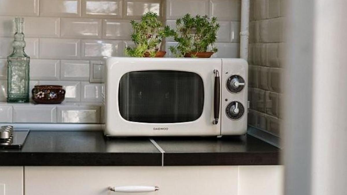 trei-moduri-neobisnuite-de-utilizare-a-cuptorului-cu-microunde--pe-care--cu-siguranta--nu-le-cunosteai_06350600