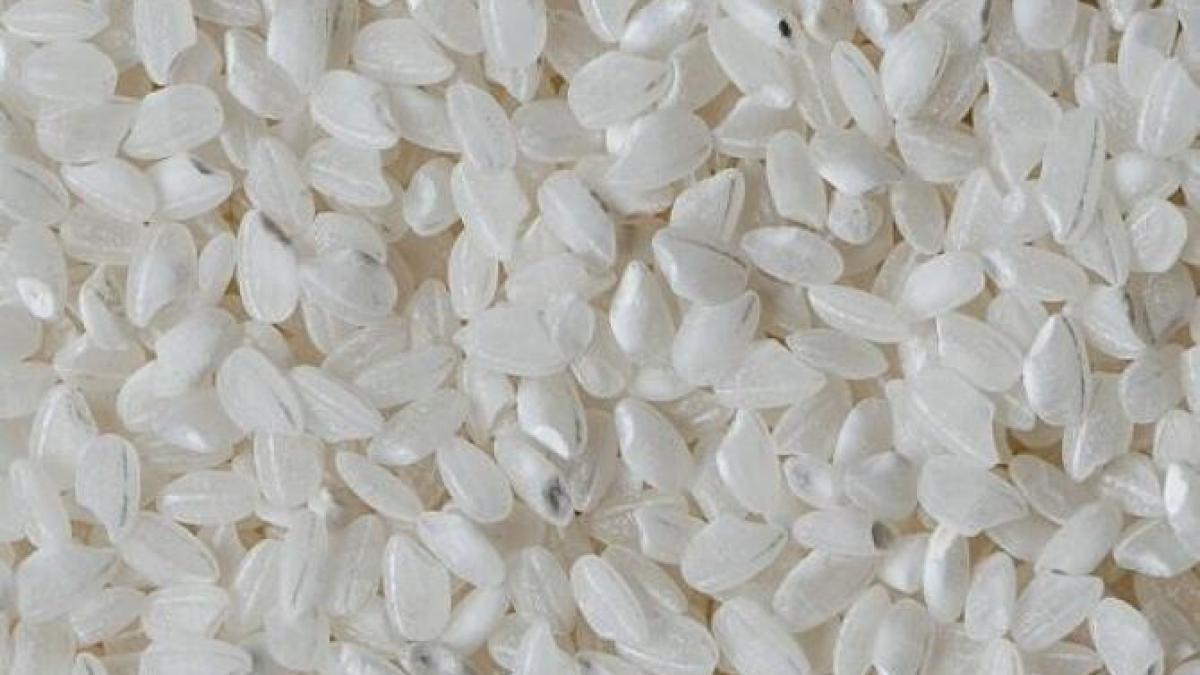 pastreaza-cutitele-intr-un-recipient-cu-orez---trucul-bunicii-te-va-cuceri_48590600