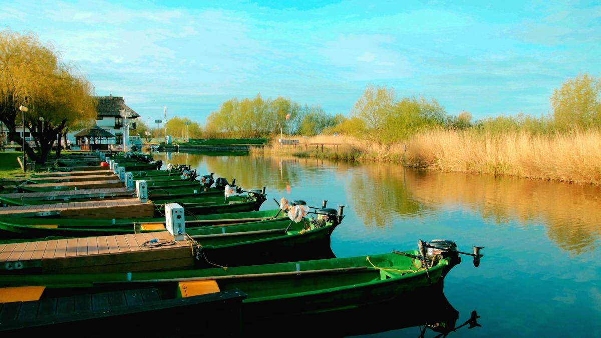 navrom-suspenda-cursele-spre-delta-dunarii_67924300