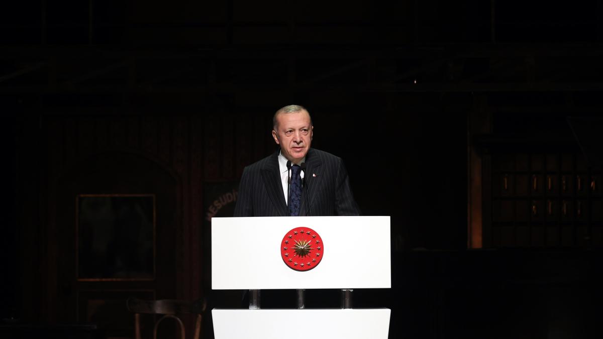 erdogan-discutie-premierul-suediei_51966800