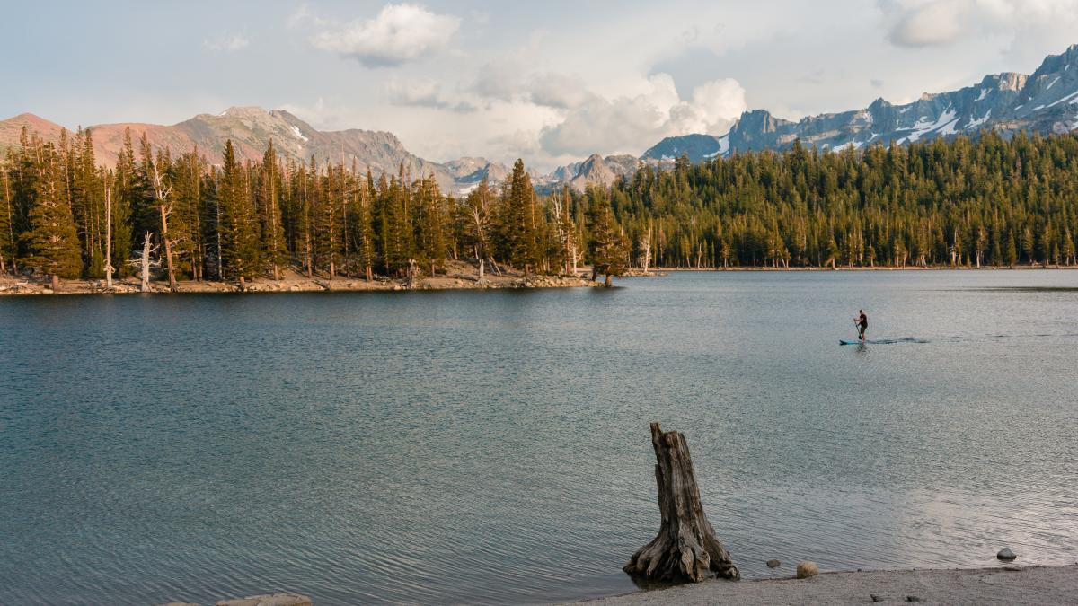 pui-de-mamut-descoperit-mumificat-in-canada_89865100