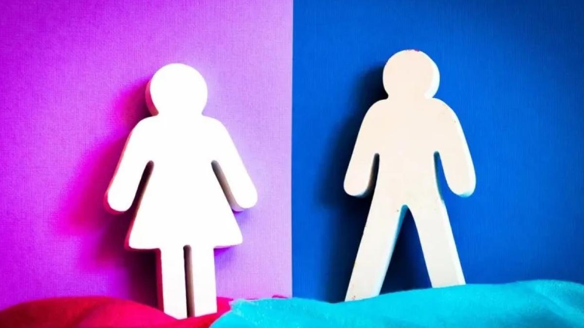 egalitate-de-gen_85899700