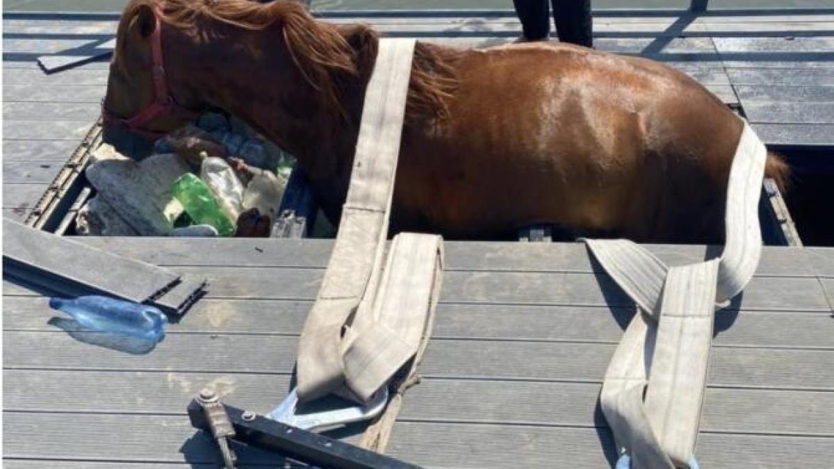 cal-ponton-alba_06528500