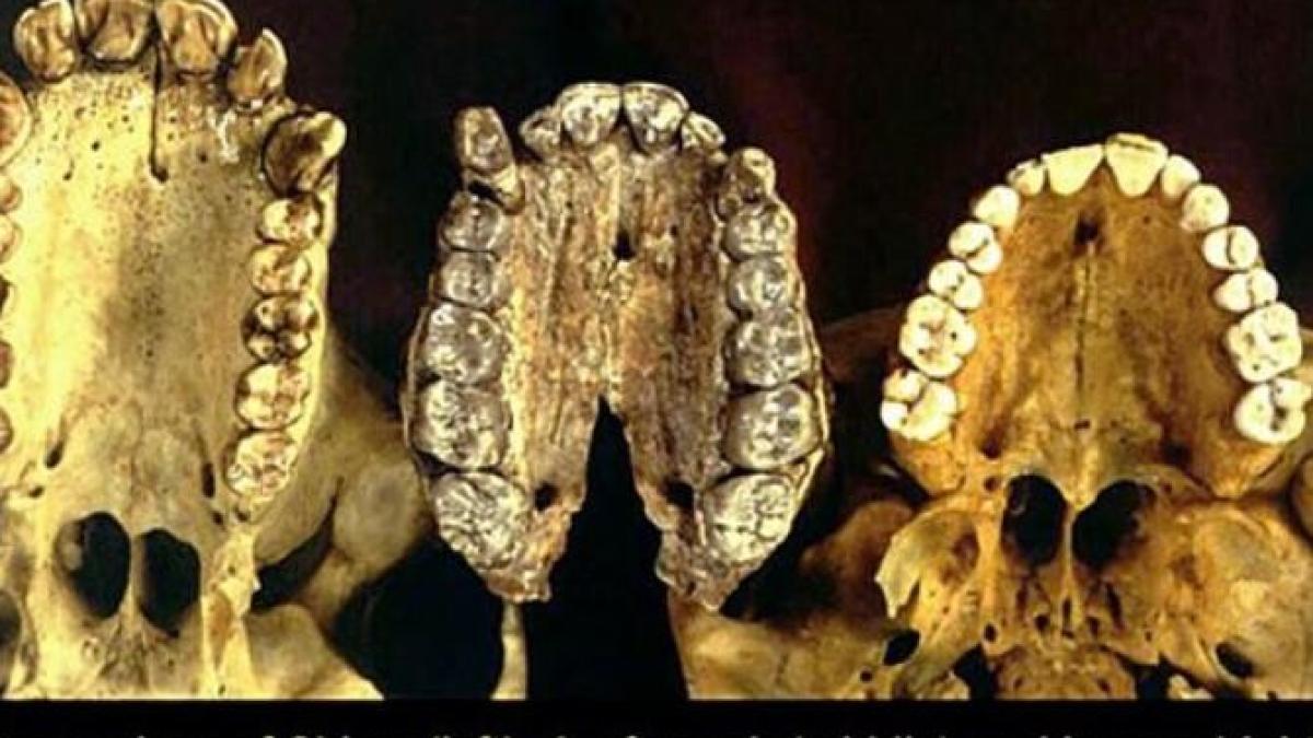 unele-dintre-cele-mai-vechi-oseminte-umane-dateaza-din-timpuri-mai-indepartate-decat-s-a-crezut-initial_48959400