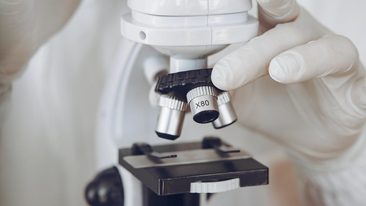 bacteria-periculoasa-care-se-transmite-de-la-animale-la-om--este-rezistenta-la-antibiotic_51960800