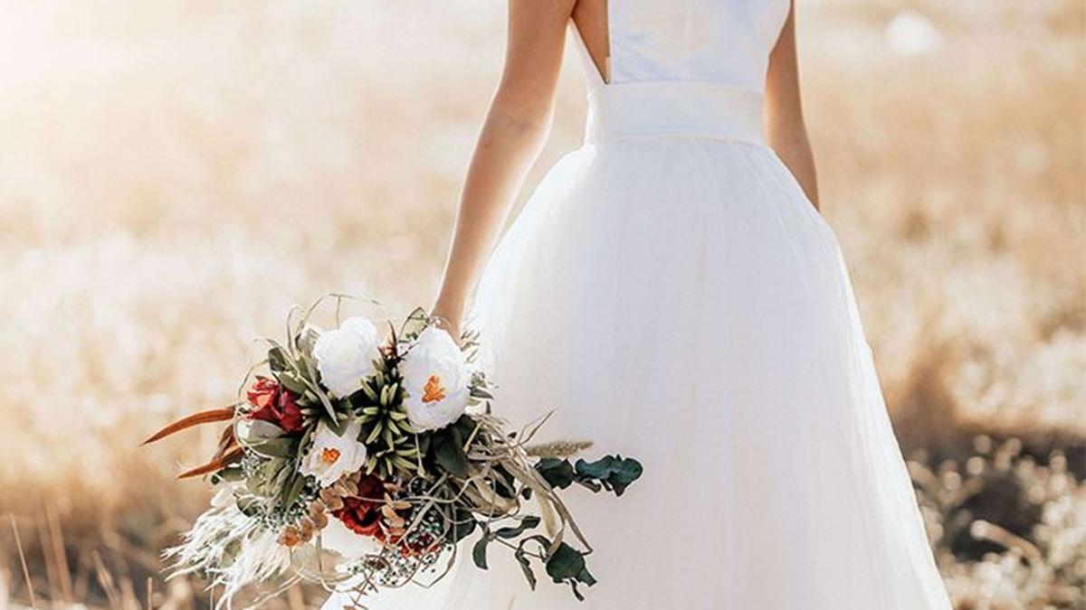 dcnews-ro-croitoriepicasso-ro_11347500