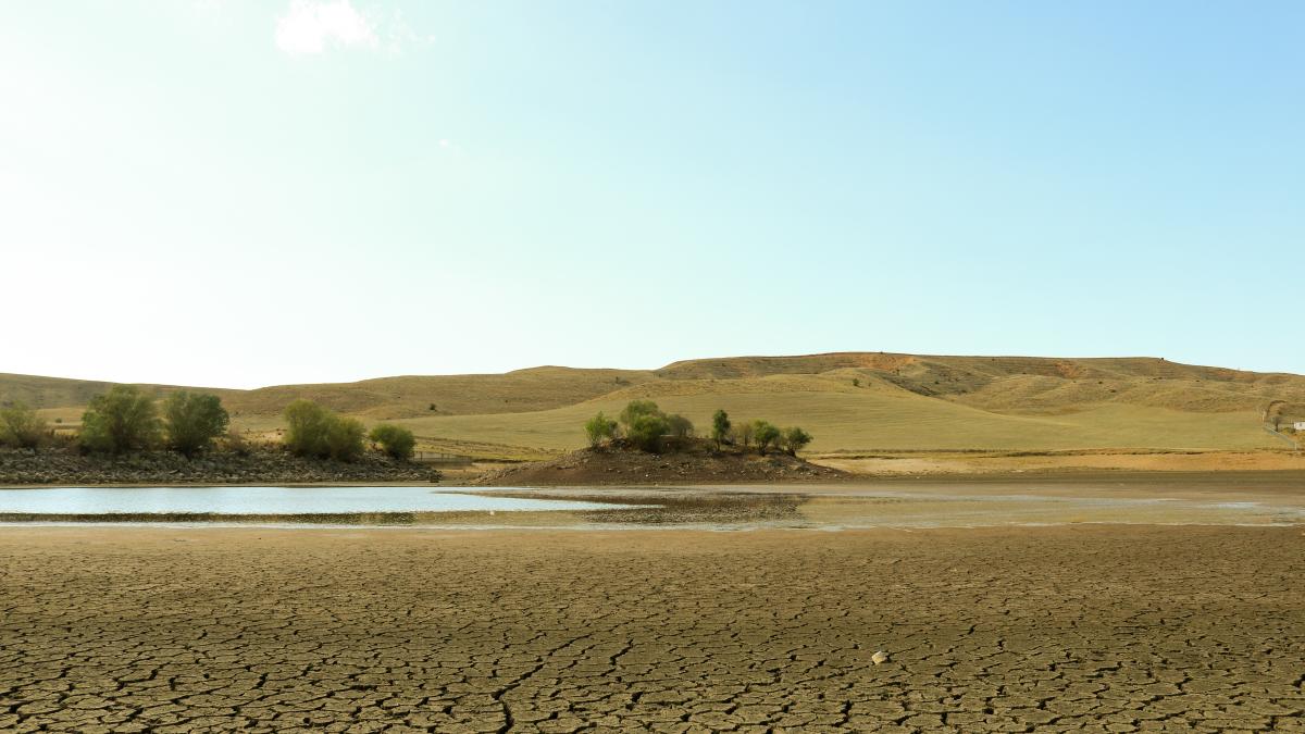 lacul-amara-din-judetul-buzau-a-secat_50990300